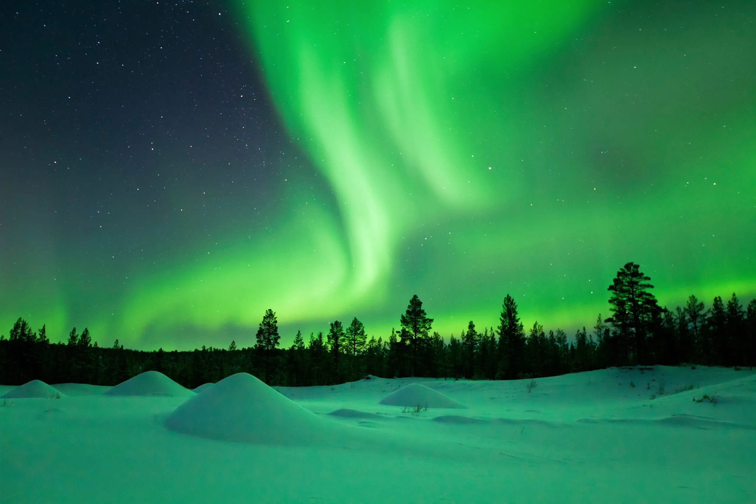 Homepage Photo