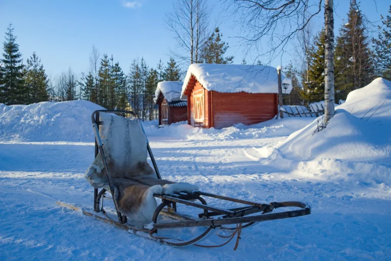 Hundeschlitten in Lappland