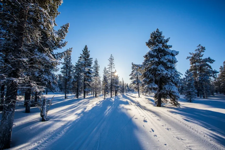 Winter landscape in Pallas Yllastunturi National Park, Lapland, Finland